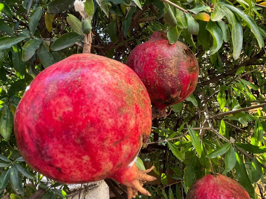 Museo de Artes y Costumbres Populares-马拉加必去景点