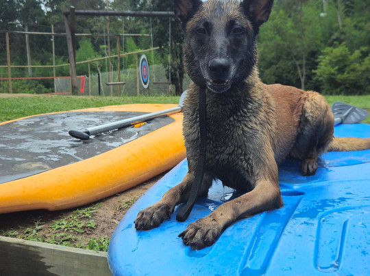 Rio Abaixo Rafting & Aventura-Juquitiba必去景点