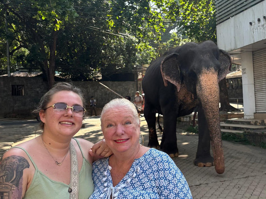 大象公园酒店主图