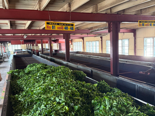 Tsara Tea-Akuressa必去景点