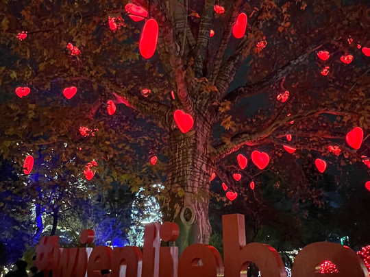 Wiener Christkindlmarkt-维也纳必去景点