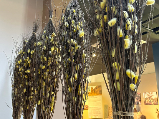 Ron Tuk Tuk Driver-暹粒必去景点