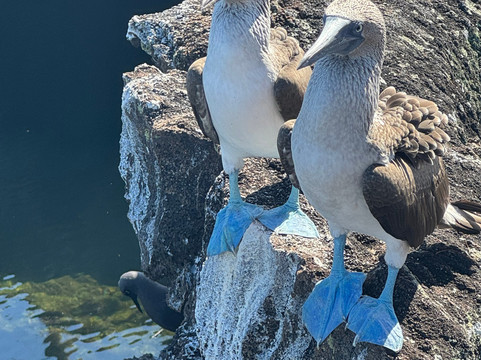 Galapagos Surf Adventure-Puerto Baquerizo Moreno必去景点