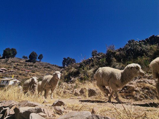Club de Vacaciones Peru-利马必去景点