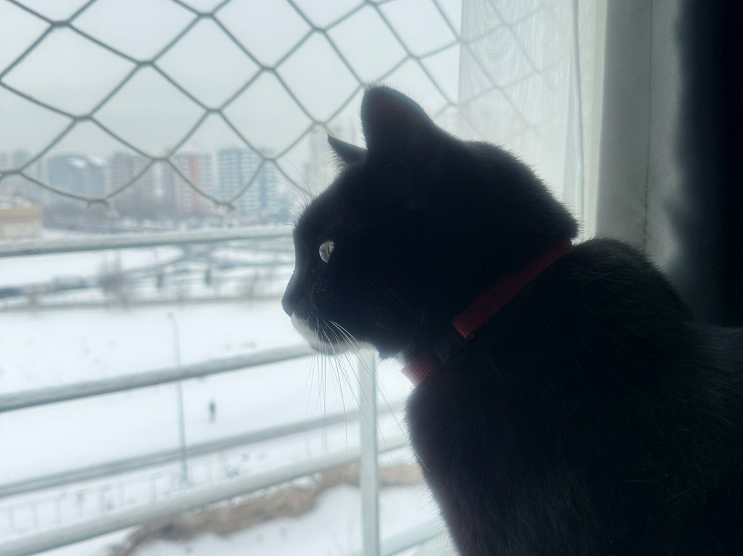 开塞利阁楼酒店主图