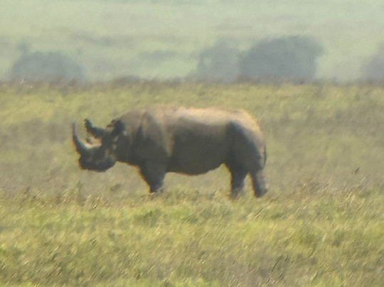 Monkey Adventures-莫西必去景点