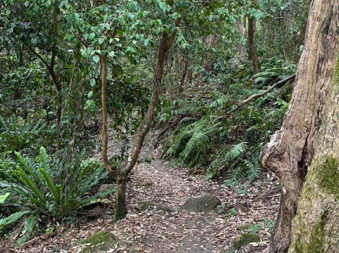 Stringybark Reserve