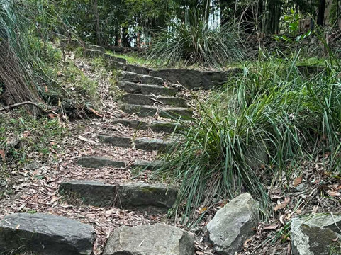 Stringybark Reserve-莱恩科夫必去景点