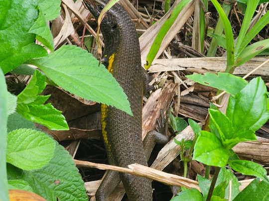 Bali Krisna Travel-金巴兰必去景点