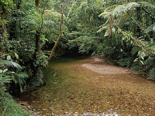 Reserva Natural Salto Morato-Guaraquecaba必去景点