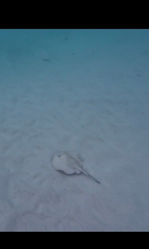 Woebegone Freedive-赫斯基森必去景点