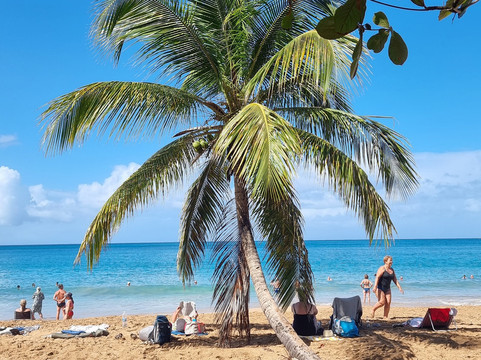 Blue Pearl-瓜德罗普岛必去景点