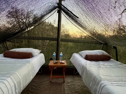 丛林漫步之旅酒店主图