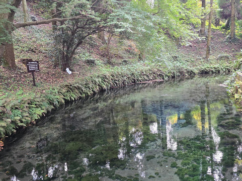 Explore Kumamoto-熊本县必去景点