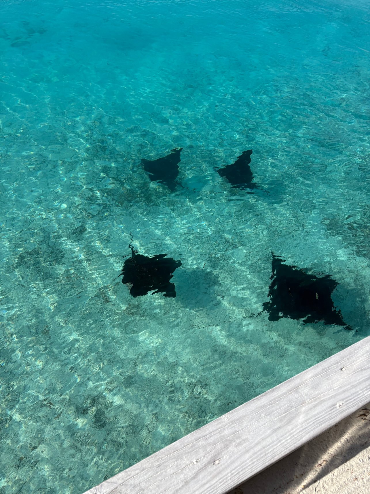 TUI BLUE Olhuveli Romance-浴室