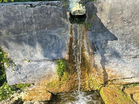 Kakinohanahija-南城市必去景点