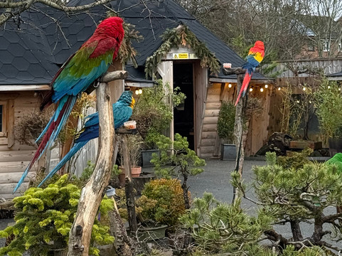 Nanny Sharon's Alpaca Farm C.I.C-Prenton必去景点