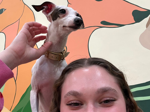 CuddlePups-芝加哥必去景点