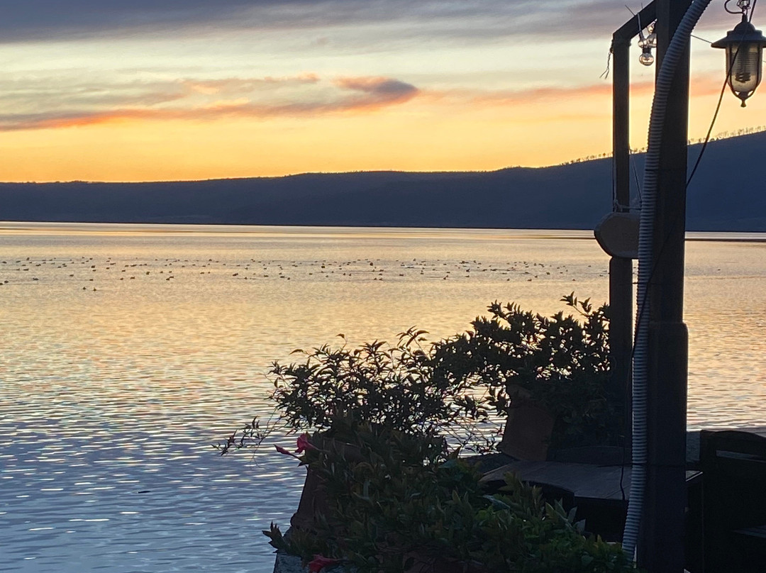 博尔格维斯塔拉戈主图