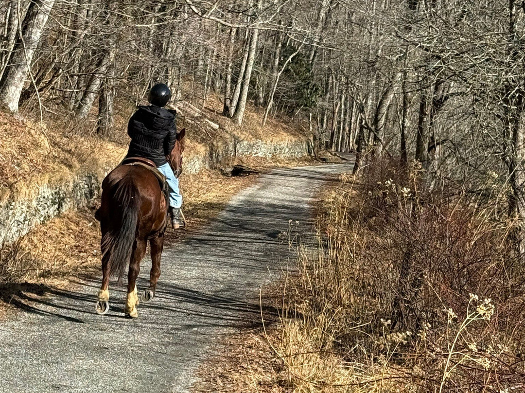 Blowing Rock Trail Rides-布洛英罗克必去景点