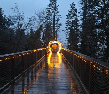 Beyond the Trees Avondale-Rathdrum必去景点