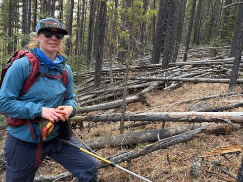 Uplift Adventures-科尔曼必去景点