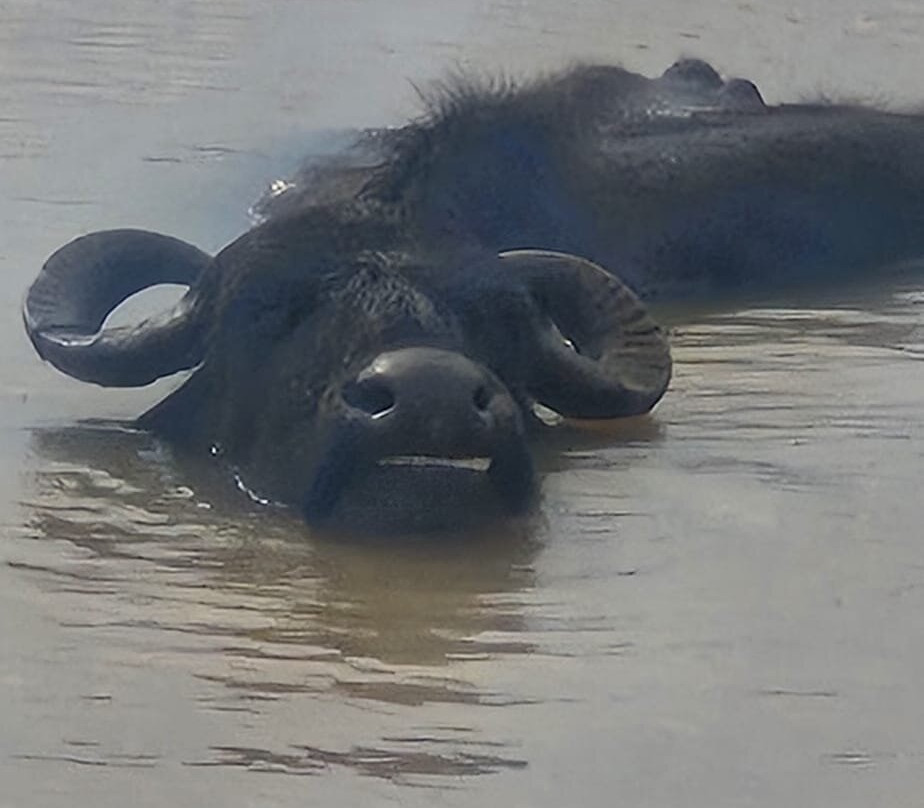 Geethmi Tours-亚洪加拉必去景点