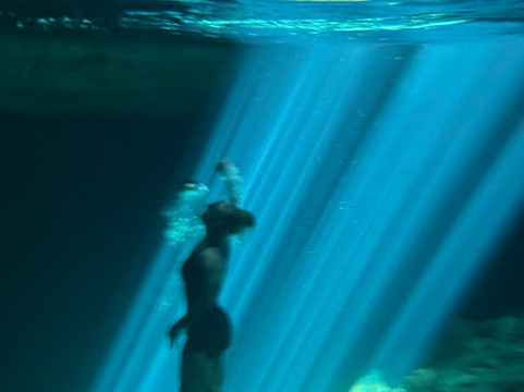 YucatanCenote .com Eco-Adventures-Progreso必去景点