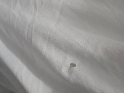 帕迪尤卡I-24 4号出口温德姆速8酒店主图