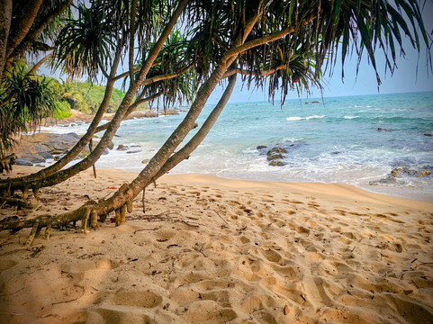 椰子唐卡拉酒店主图