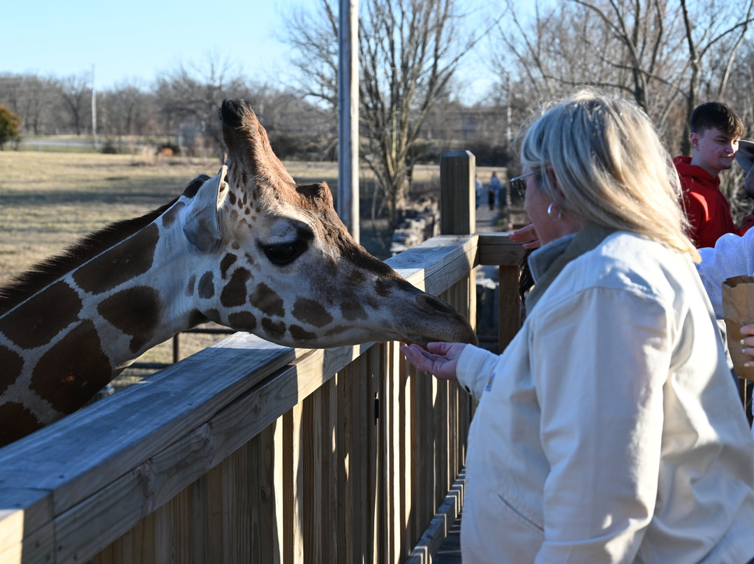 Wild Animal Safari-Strafford必去景点