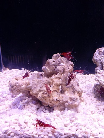 失落的空间水族馆-三亚市必去景点