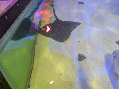 Sea Life Scarborough-斯卡伯勒必去景点