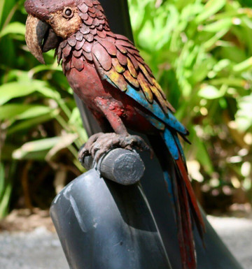 McKee Botanical Garden-维罗海滩必去景点