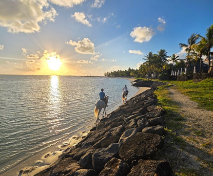 Legasea Stables Mauritius-Quatre Cocos必去景点
