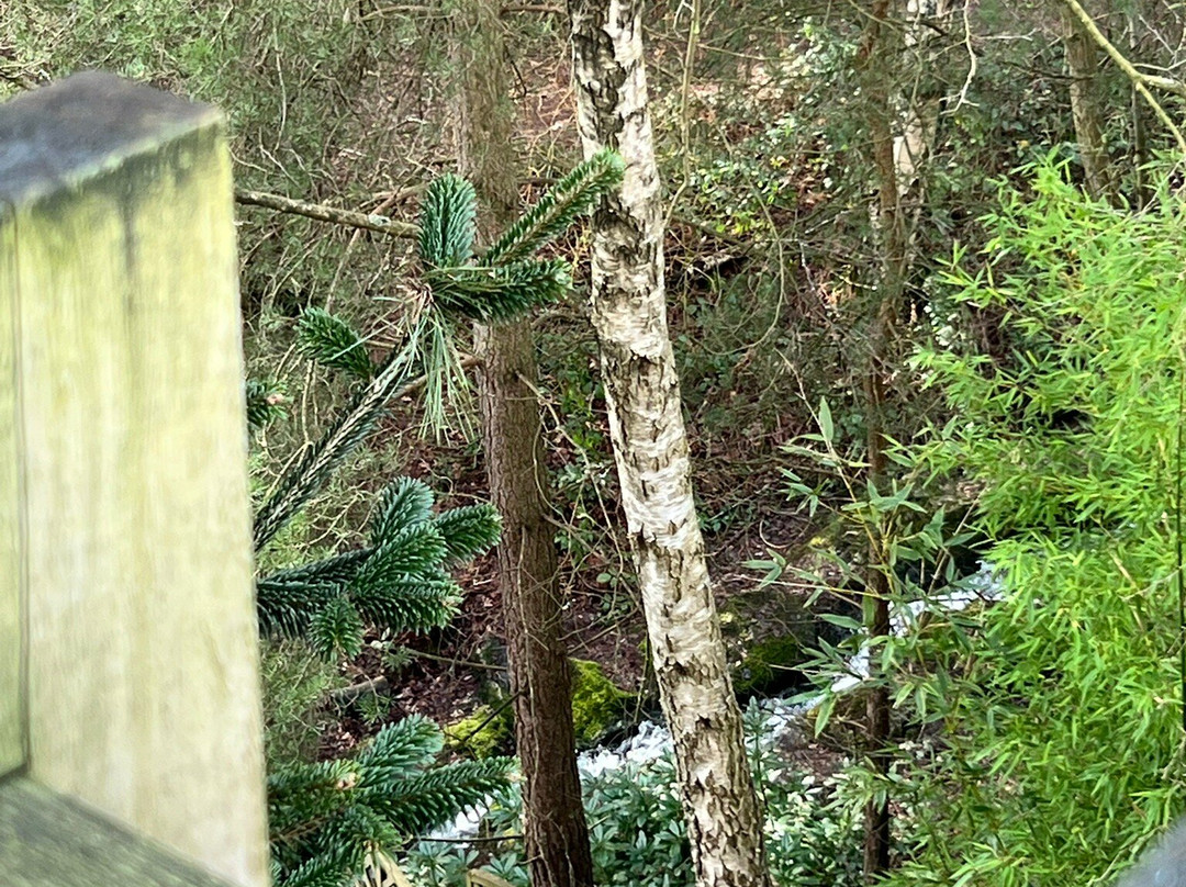 Aqua Sana Sherwood Forest-Rufford必去景点