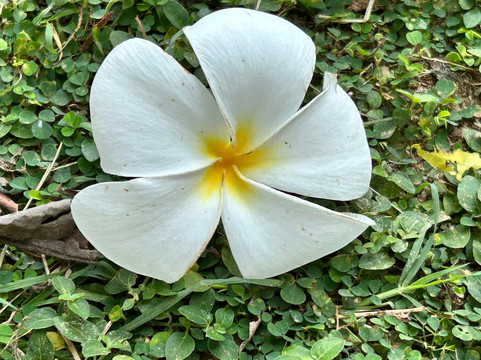 汀奈套房酒店主图