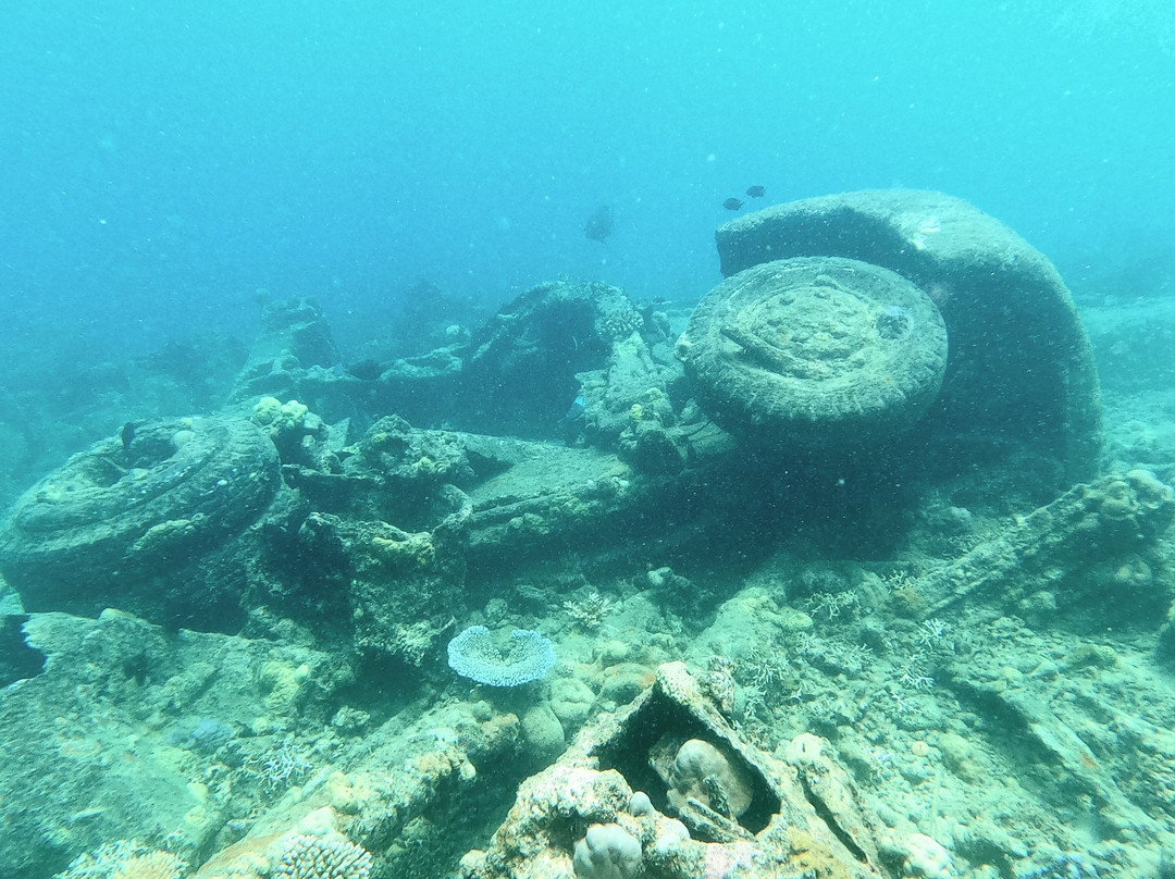 Pacific Dive-卢甘维尔必去景点