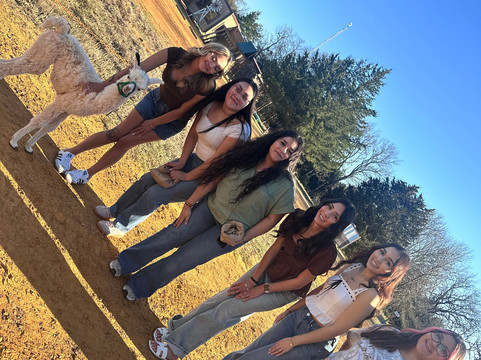 Rocky Ridge Drive Thru Safari-Eustace必去景点