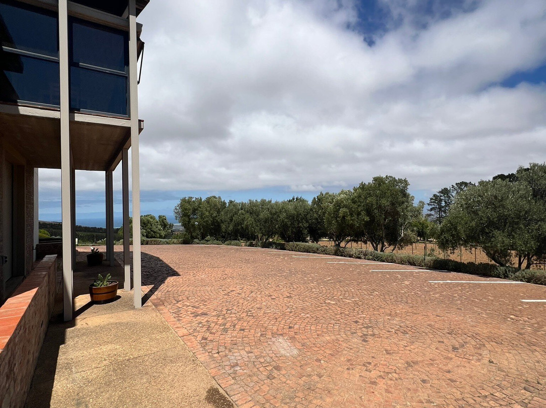 Uva Mira Mountain Vineyards-斯泰伦博斯必去景点