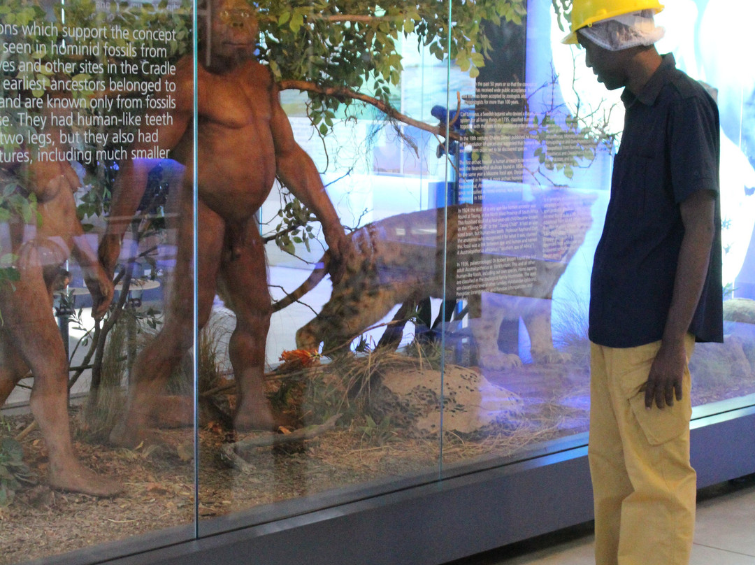 Sterkfontein Caves-Krugersdorp必去景点