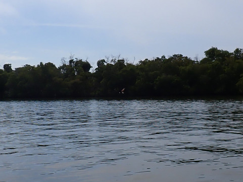 Gulf Coast Kayak-开普科勒尔必去景点