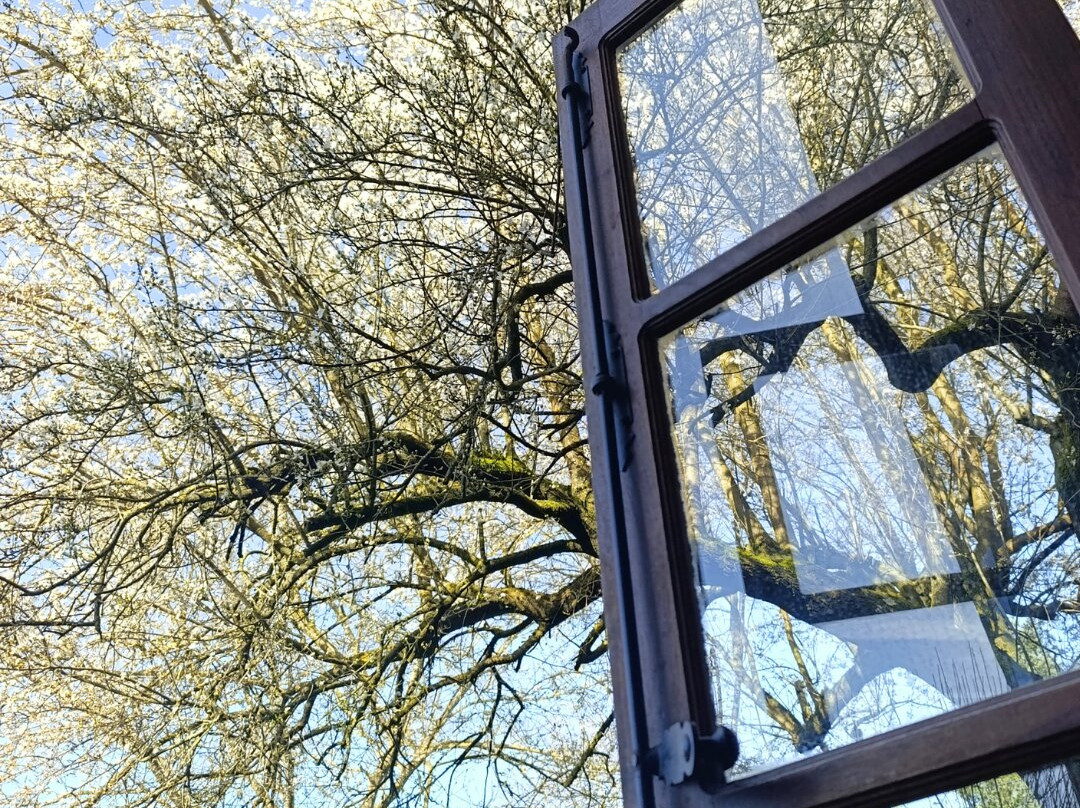 卡萨罗穆阿尔乡村民宿主图