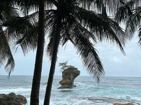 Gandoca - Manzanillo Wildlife Refuge-Province of Limon必去景点