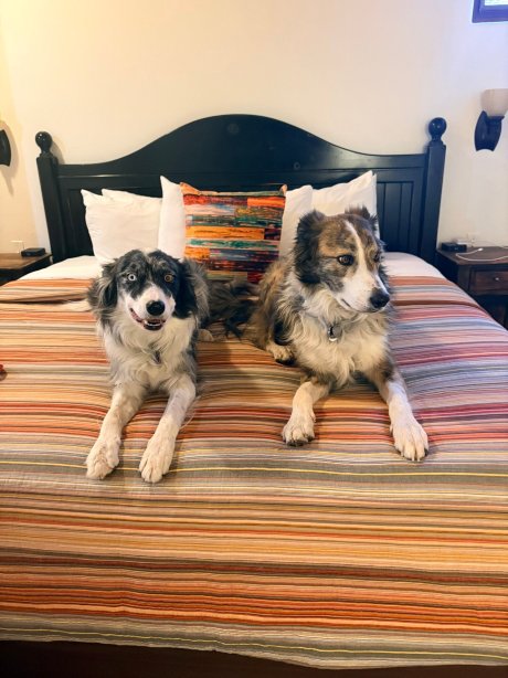 陶斯历史酒店-官方