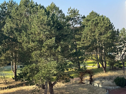 阿勒尔福斯Spa酒店主图