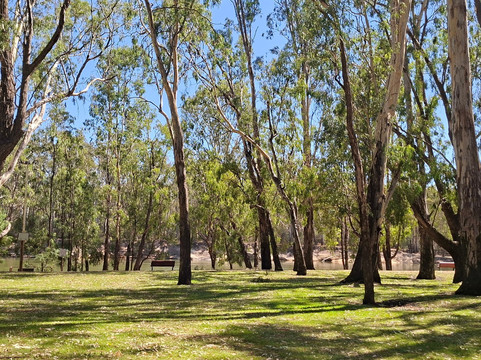 Thompson Beach-Cobram必去景点