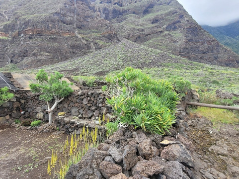 Ecomuseo de Guinea y Lagartario-Frontera必去景点