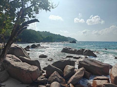 Coconut Services Seychelles-Baie Ste Anne必去景点