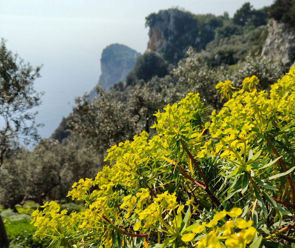 Baia di Ieranto-马萨卢布伦塞必去景点